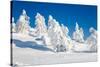 Lapland Finland-Molka-Stretched Canvas