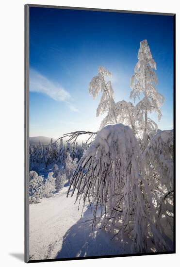 Lapland Finland-Molka-Mounted Photographic Print