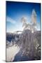 Lapland Finland-Molka-Mounted Photographic Print