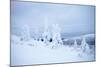 Lapland Finland-Molka-Mounted Photographic Print