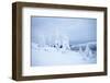 Lapland Finland-Molka-Framed Photographic Print