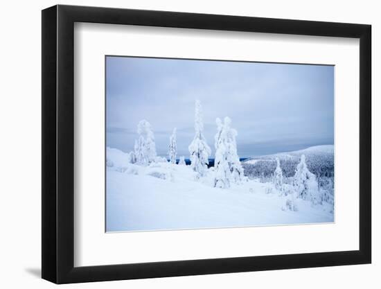 Lapland Finland-Molka-Framed Photographic Print