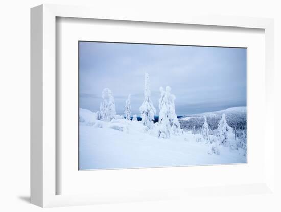 Lapland Finland-Molka-Framed Photographic Print