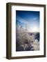 Lapland Finland-Molka-Framed Photographic Print