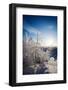 Lapland Finland-Molka-Framed Photographic Print