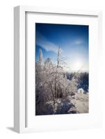 Lapland Finland-Molka-Framed Photographic Print