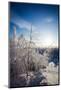 Lapland Finland-Molka-Mounted Photographic Print