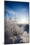 Lapland Finland-Molka-Mounted Photographic Print