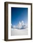 Lapland Finland-Molka-Framed Photographic Print