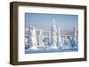 Lapland Finland-Molka-Framed Photographic Print