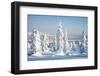 Lapland Finland-Molka-Framed Photographic Print