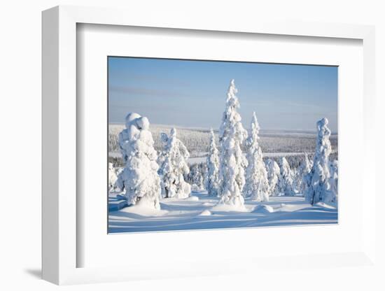 Lapland Finland-Molka-Framed Photographic Print