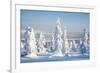 Lapland Finland-Molka-Framed Photographic Print