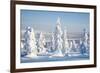 Lapland Finland-Molka-Framed Photographic Print