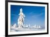 Lapland Finland-Molka-Framed Photographic Print