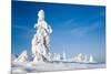 Lapland Finland-Molka-Mounted Photographic Print