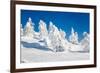 Lapland Finland-Molka-Framed Photographic Print