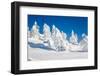 Lapland Finland-Molka-Framed Photographic Print