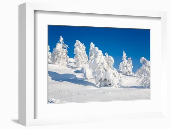 Lapland Finland-Molka-Framed Photographic Print