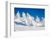 Lapland Finland-Molka-Framed Photographic Print