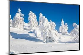 Lapland Finland-Molka-Mounted Photographic Print