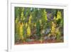 Lapland in Autumn-Valoor-Framed Photographic Print