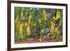 Lapland in Autumn-Valoor-Framed Photographic Print