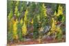 Lapland in Autumn-Valoor-Mounted Photographic Print