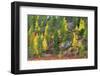 Lapland in Autumn-Valoor-Framed Photographic Print