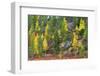 Lapland in Autumn-Valoor-Framed Photographic Print