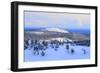 Lapland in Winter-Valoor-Framed Photographic Print