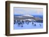 Lapland in Winter-Valoor-Framed Photographic Print