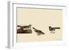 Lapland Longspur-John James Audubon-Framed Giclee Print