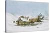 Lapland Sledge, 1803-John Augustus Atkinson-Stretched Canvas