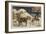 Lapland-null-Framed Giclee Print