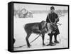 Laplander Helping to Move Reindeer Away from Russian Positions During the Russo-Finnish War-Carl Mydans-Framed Stretched Canvas
