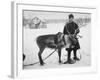 Laplander Helping to Move Reindeer Away from Russian Positions During the Russo-Finnish War-Carl Mydans-Framed Premium Photographic Print