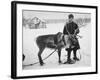 Laplander Helping to Move Reindeer Away from Russian Positions During the Russo-Finnish War-Carl Mydans-Framed Premium Photographic Print