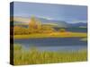 Laponia World Heritage Site, Lappland, Sweden, Scandinavia, Europe-Gavin Hellier-Stretched Canvas