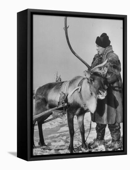 Lapp Tribesman Tending to His Reindeer-Mark Kauffman-Framed Stretched Canvas