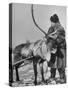 Lapp Tribesman Tending to His Reindeer-Mark Kauffman-Stretched Canvas