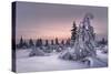 Lappland - Winterwonderland-Christian Schweiger-Stretched Canvas