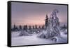 Lappland - Winterwonderland-Christian Schweiger-Framed Stretched Canvas