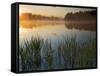 Lapwai Lake at Sunrise, Winchester Lake State Park, Idaho, USA-Charles Gurche-Framed Stretched Canvas