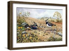 Lapwing Family with Goldfinches-Carl Donner-Framed Giclee Print