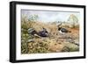 Lapwing Family with Goldfinches-Carl Donner-Framed Giclee Print