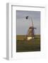 Lapwing (Vanellus Vanellus) Flying Past Windmill, Texel, Netherlands, May 2009-Peltomäki-Framed Photographic Print