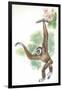 Lar Gibbon Hylobates Lar-null-Framed Giclee Print