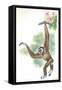 Lar Gibbon Hylobates Lar-null-Framed Stretched Canvas