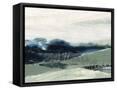 Framed Canvas
